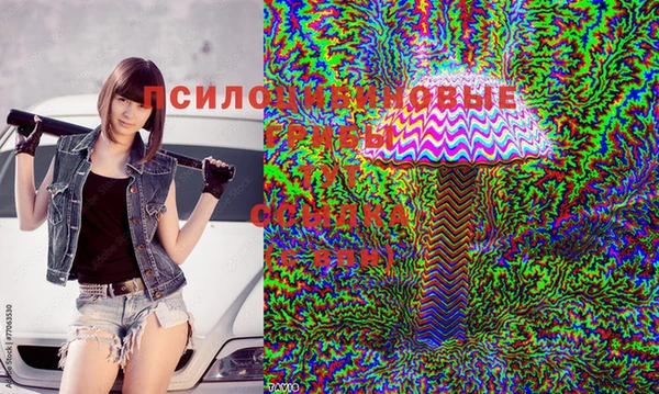 СК Белокуриха