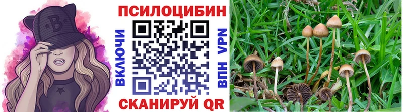 Псилоцибиновые грибы мицелий  Купить  Мосальск 